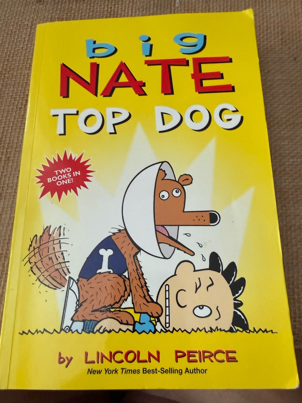 Big Nate: Top Dog - Yellow Children's Book by